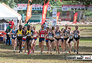 NACAC XC Champs 2019
